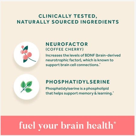 Neuriva Original, Brain Health Supplement with Coffee Cherry Extract & Phosphatidylserine